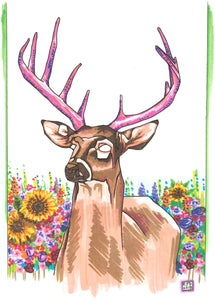 White-tailed deer with wildflowers