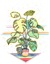 Load image into Gallery viewer, Monstera Plant with Rainbow Rug
